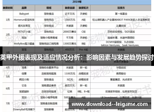 英甲外援表现及适应情况分析：影响因素与发展趋势探讨