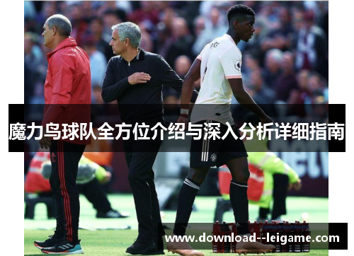 魔力鸟球队全方位介绍与深入分析详细指南